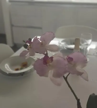 Virietta Dreams & Relax Appartement Polignano a Mare