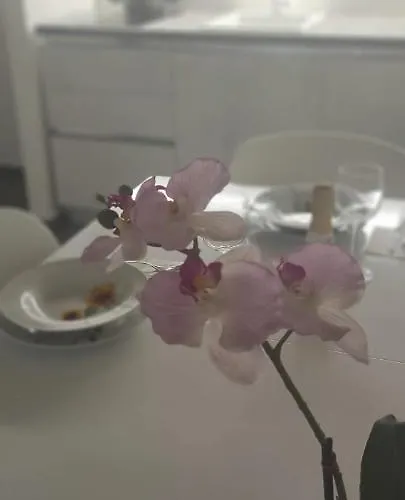 Virietta Dreams & Relax 아파트 폴리나노 아마레